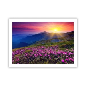 Poster - ... Și peste tot în jur se simte un miros de jneapăn și parfum de ierburi... - 70x50 cm