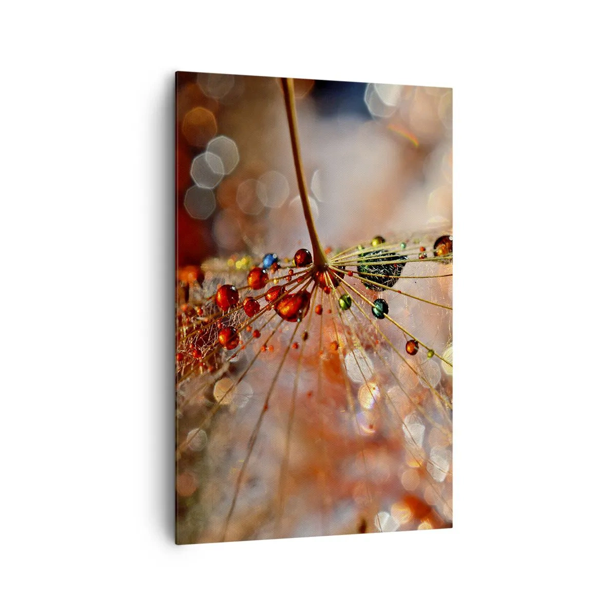 Tablou pe pânză - Înfipt pe pânza de păianjen - 80x120 cm