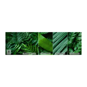 Mostră tapet Premium Sand - Înfășurate în verde - Plantă exotică, Frunza de palmier, Frunza de monstera - 100x30 cm