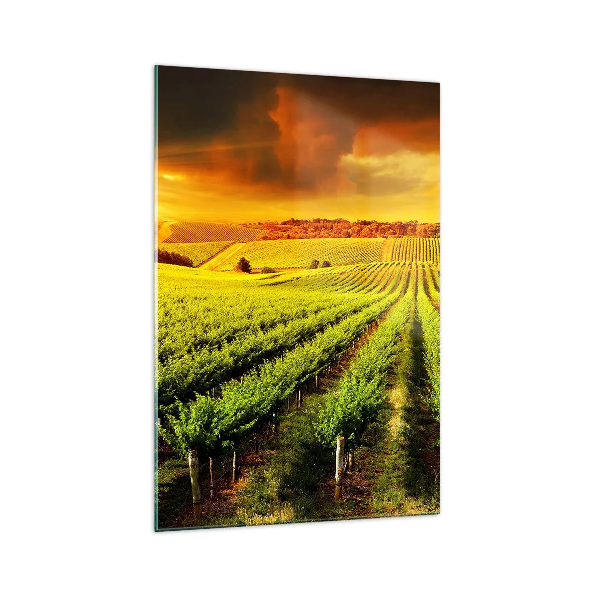 Tablou pe sticlă - Sub soarele australian - 70x100 cm