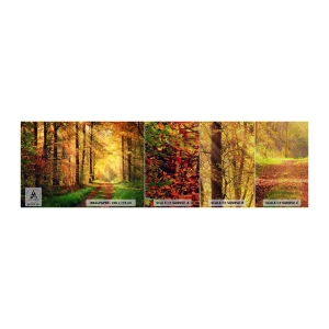 Mostră tapet Premium Sand - Tăcere de aur de pădure - Peisaj, pădure, Drum forestier - 100x30 cm