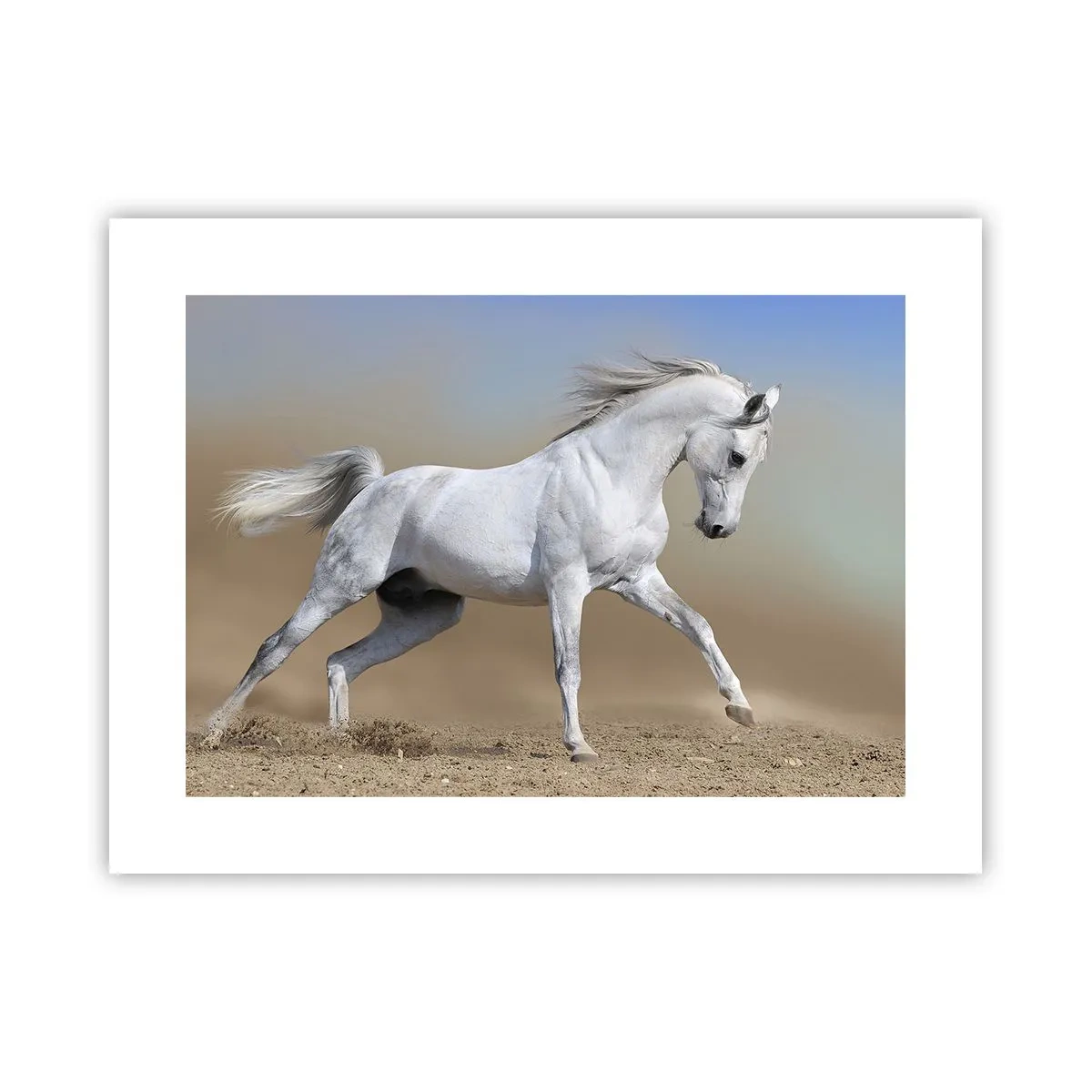 Poster - Cea mai frumoasă poveste arabă - 40x30 cm