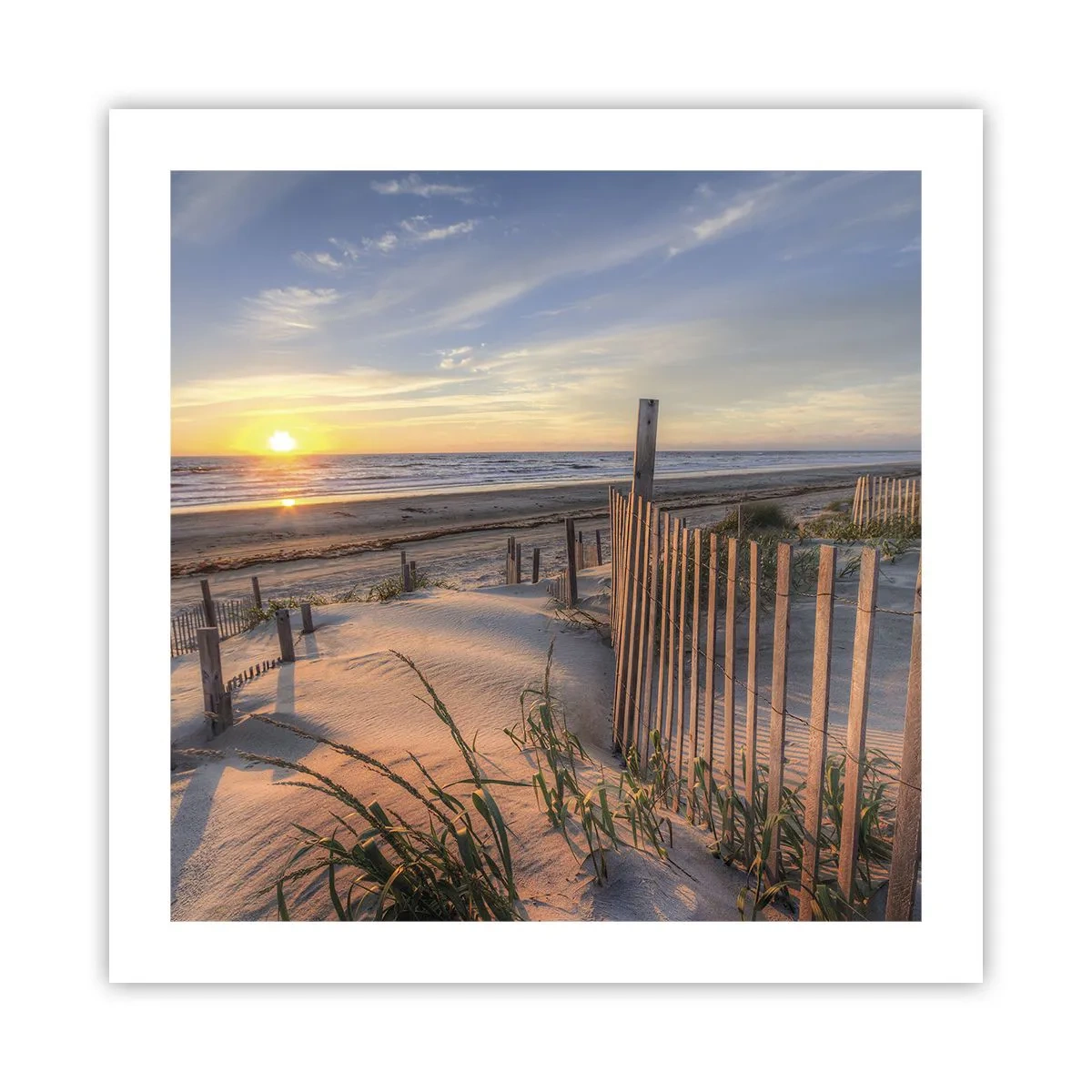 Poster - Strălucirea și umbra vântului - 50x50 cm