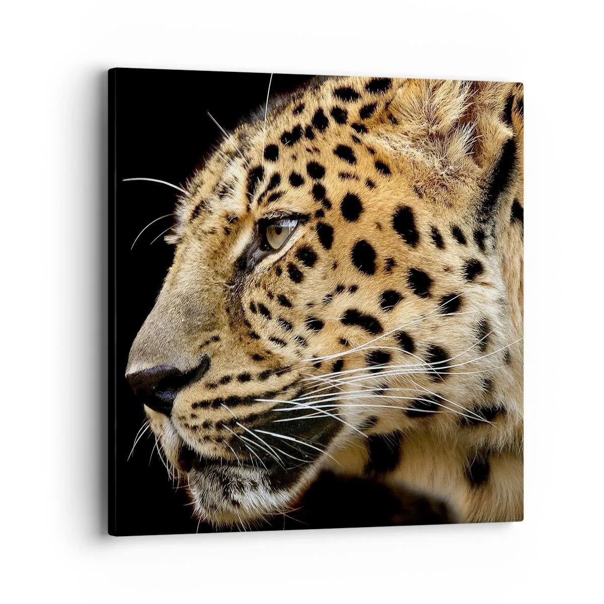 Tablou pe pânză - Calm, concentrat, pregătit - 40x40 cm