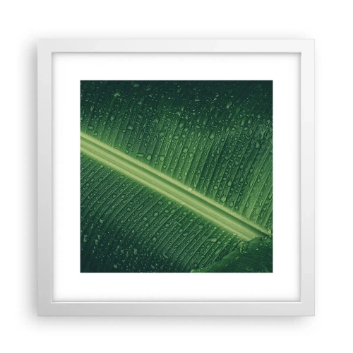 Poster în ramă albă - Structura verdelui - 30x30 cm