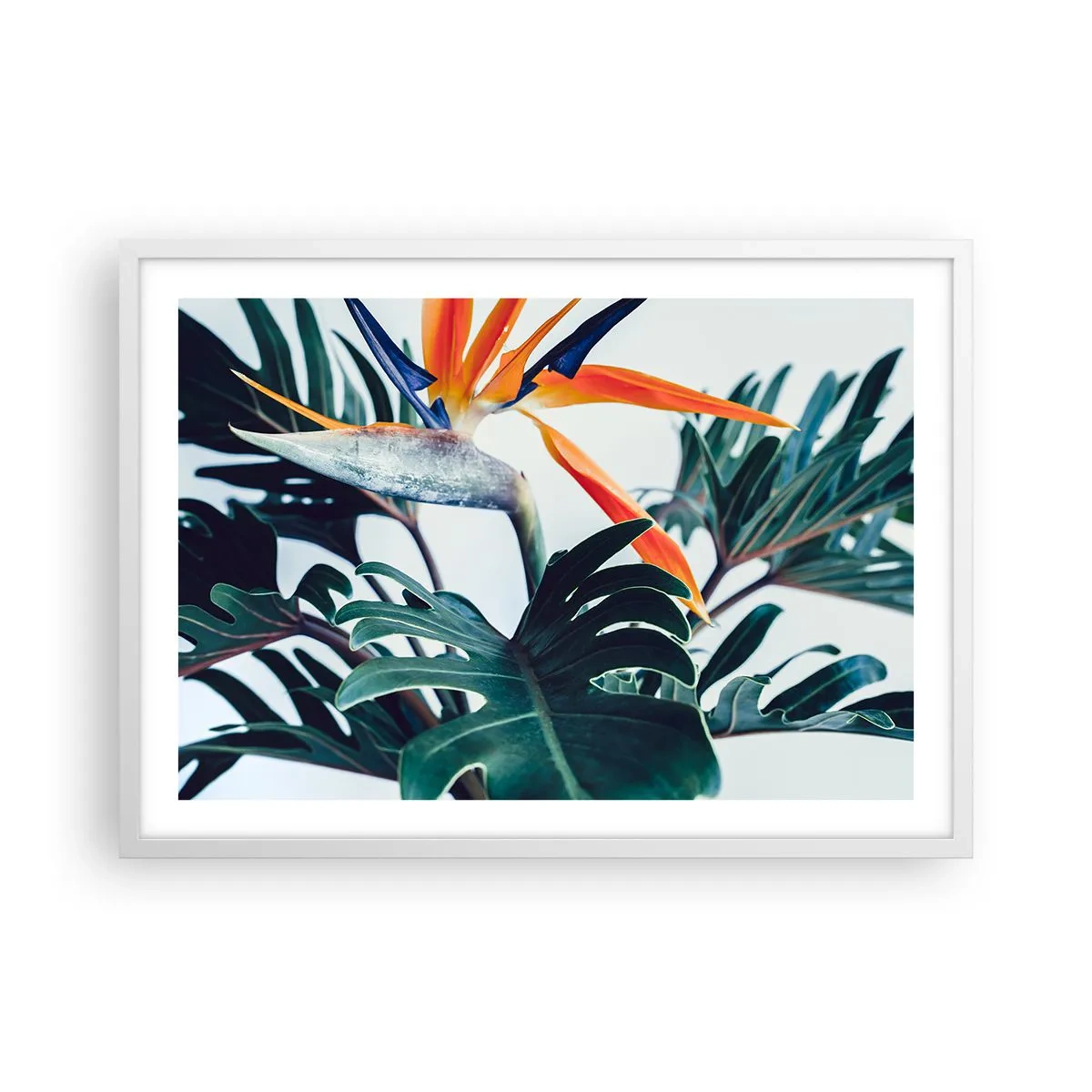 Poster în ramă albă - Tufiș sau pasăre? - 70x50 cm