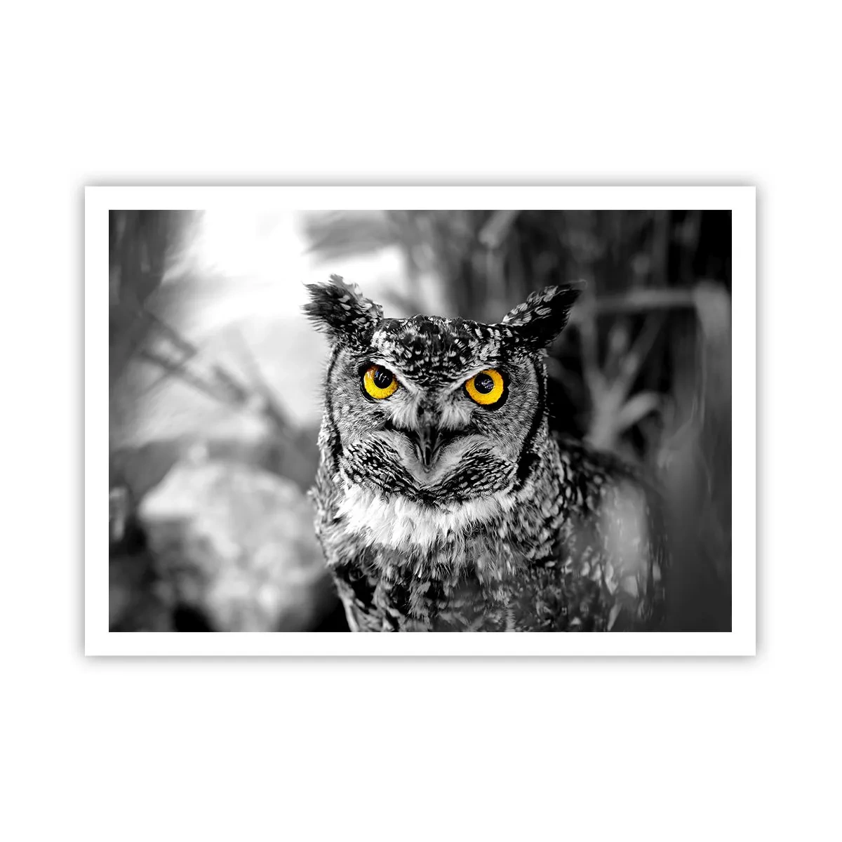 Poster - Nimic nu poate fi ascuns - 100x70 cm