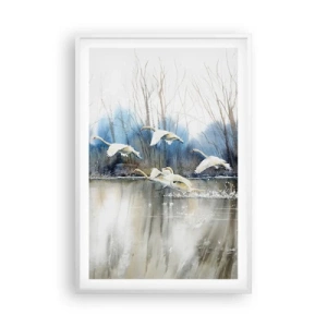 Poster în ramă albă - Dansând cu lebedele sălbatice - 61x91 cm