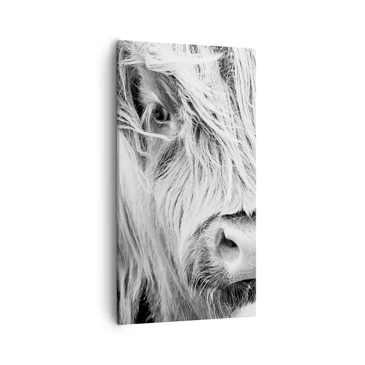 Tablou pe pânză - Sălbăticie scoțiană - 55x100 cm