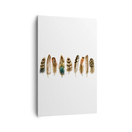 Tablou pe pânză - Variație cu pene - 80x120 cm