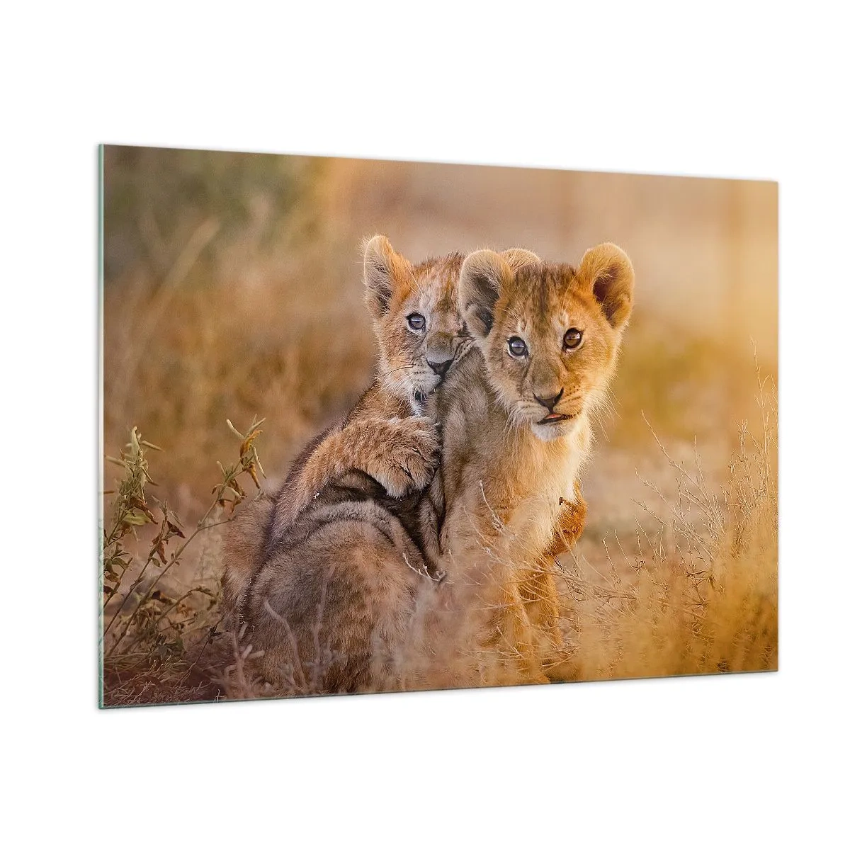 Tablou pe sticlă - Nu deranjați! Ne distrăm - 100x70 cm