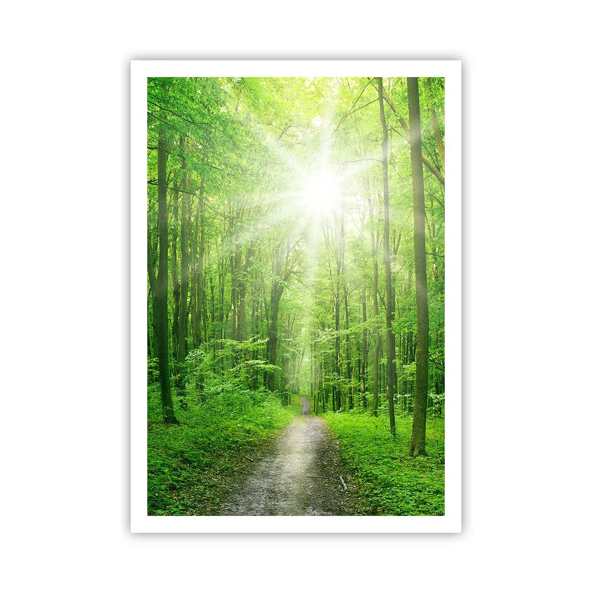 Poster - Catedrala verde - 70x100 cm
