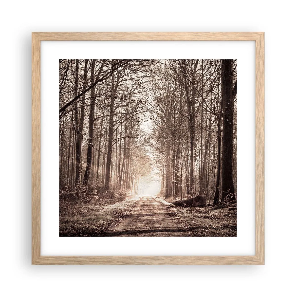 Poster în ramă de stejar deschis - Catedrala Forestieră - 40x40 cm