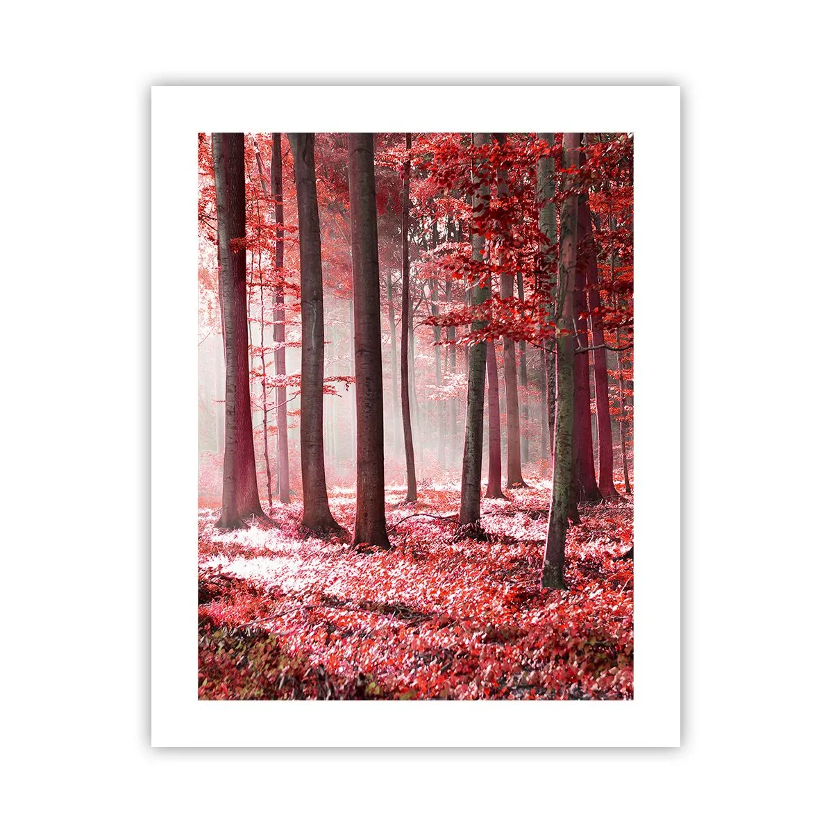 Poster - Roșie este la fel de frumoasă - 40x50 cm