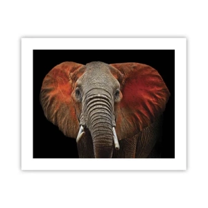 Poster - Sunt sălbatic, și tu? - 50x40 cm