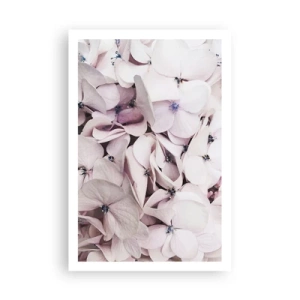 Poster - Într-un potop de flori - 61x91 cm