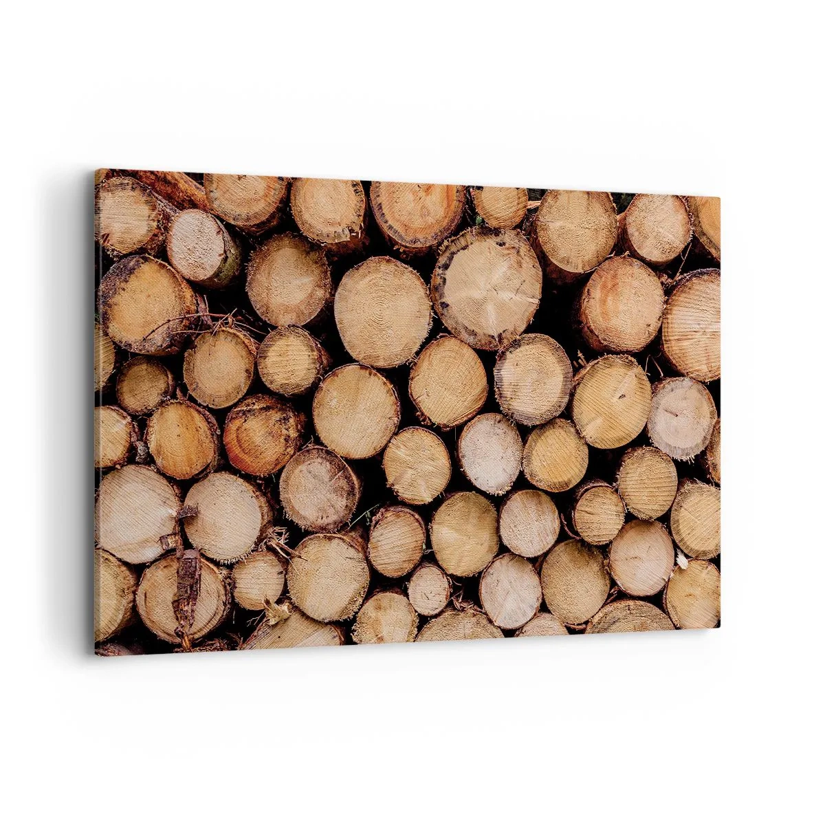 Tablou pe pânză - Un nou început - 120x80 cm