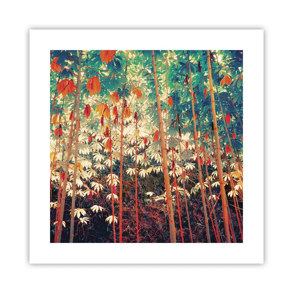 Poster - Viața secretă a frunzelor - 40x40 cm