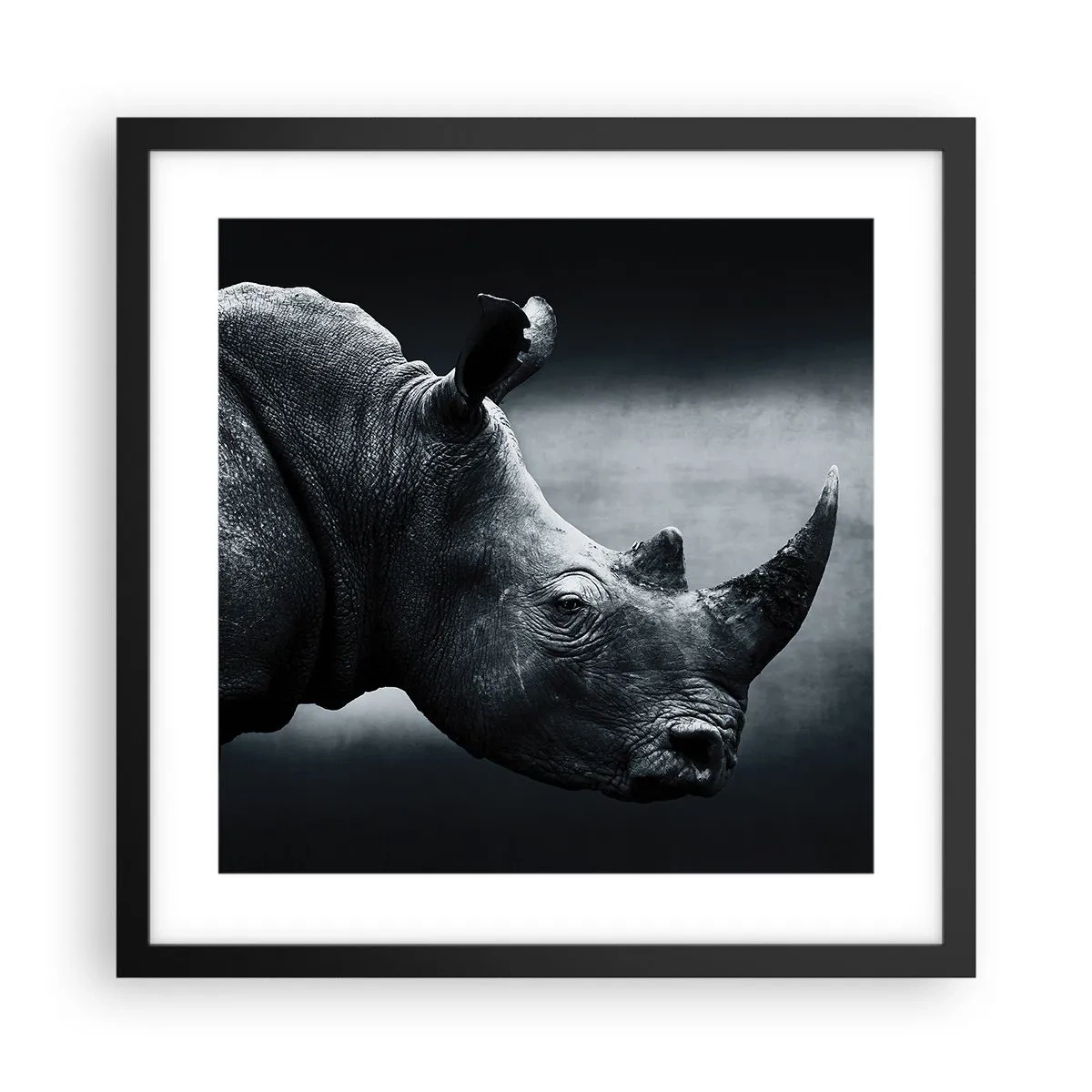 Poster în ramă neagră - Profil drept - 40x40 cm