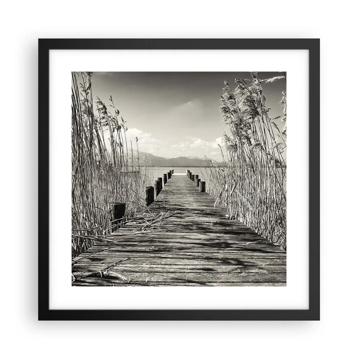 Poster în ramă neagră - În intimitatea ierburilor - 40x40 cm