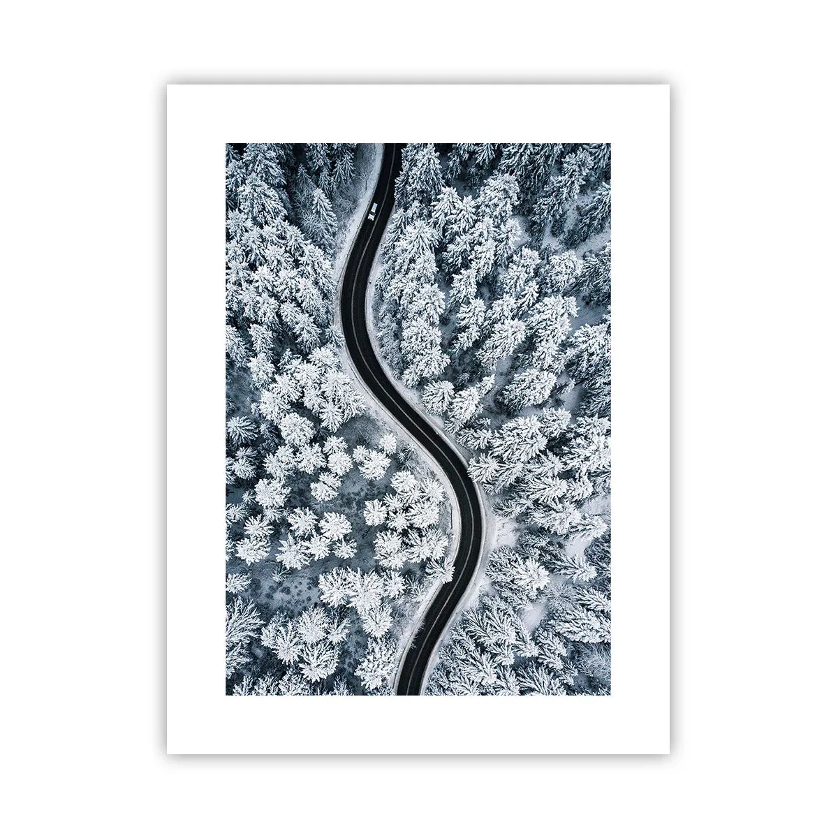 Poster - Prin pădurea de iarnă - 30x40 cm