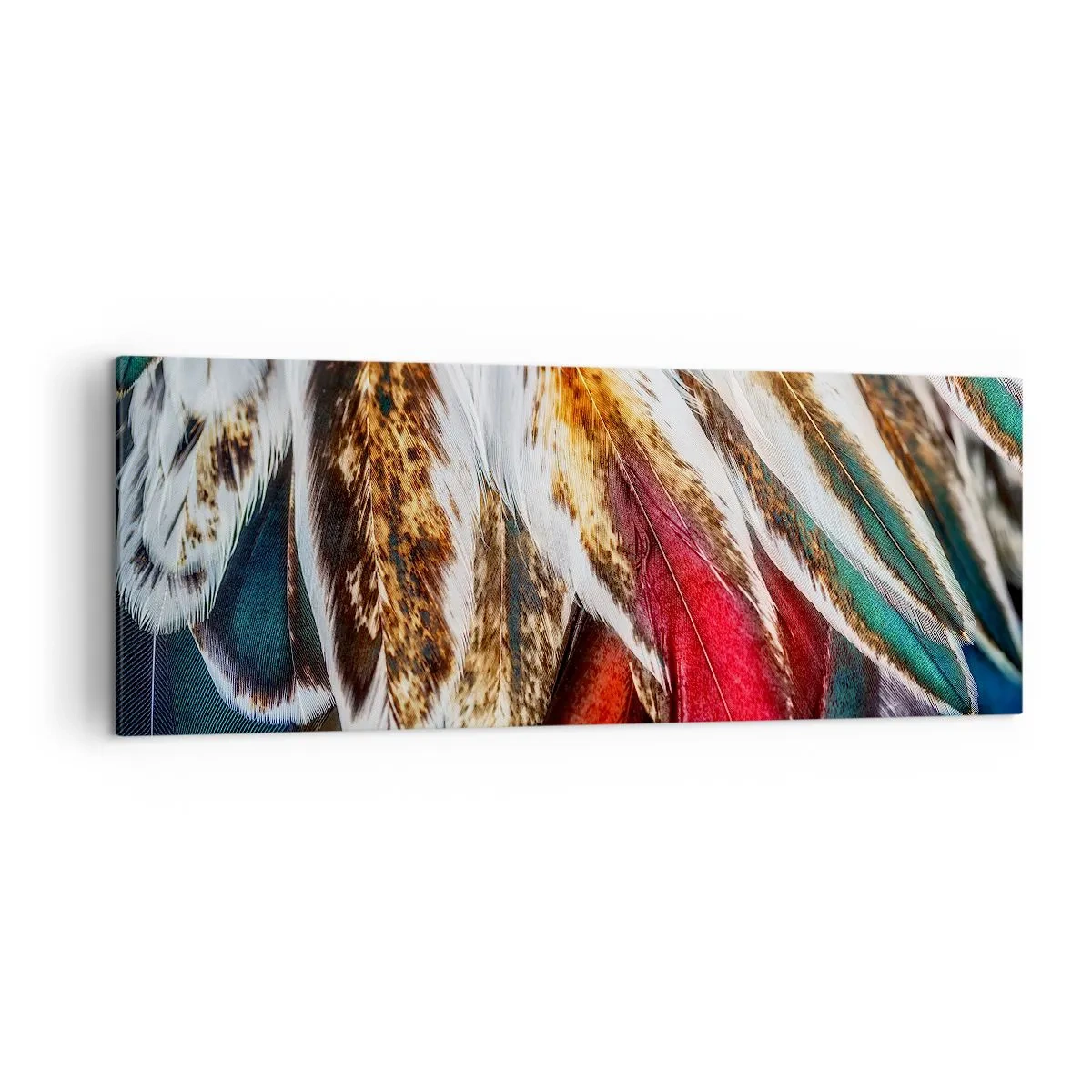 Tablou pe pânză - Secretele zborului - 140x50 cm