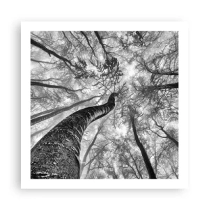 Poster - Cursa spre lumină - 60x60 cm