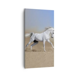 Tablou pe pânză - Cea mai frumoasă poveste arabă - 55x100 cm