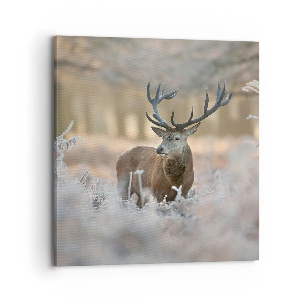 Tablou pe pânză - O dimineață răcoroasă - 70x70 cm