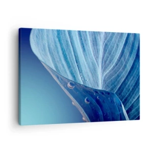 Tablou pe pânză Canvas - O frunză albastră cu picături de apă vizibile - 70x50cm - Picături ascunse de albastru - Decorațiune modernă pentru perete pentru living și dormitor ARTTOR