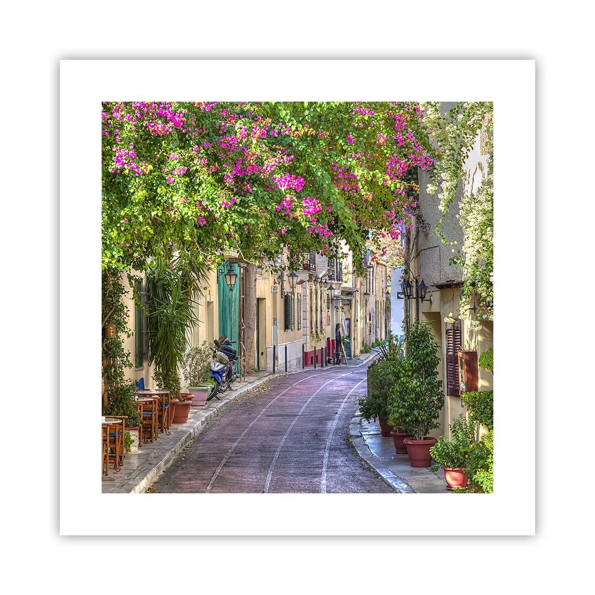 Poster - Alee înfloritoare - 40x40 cm