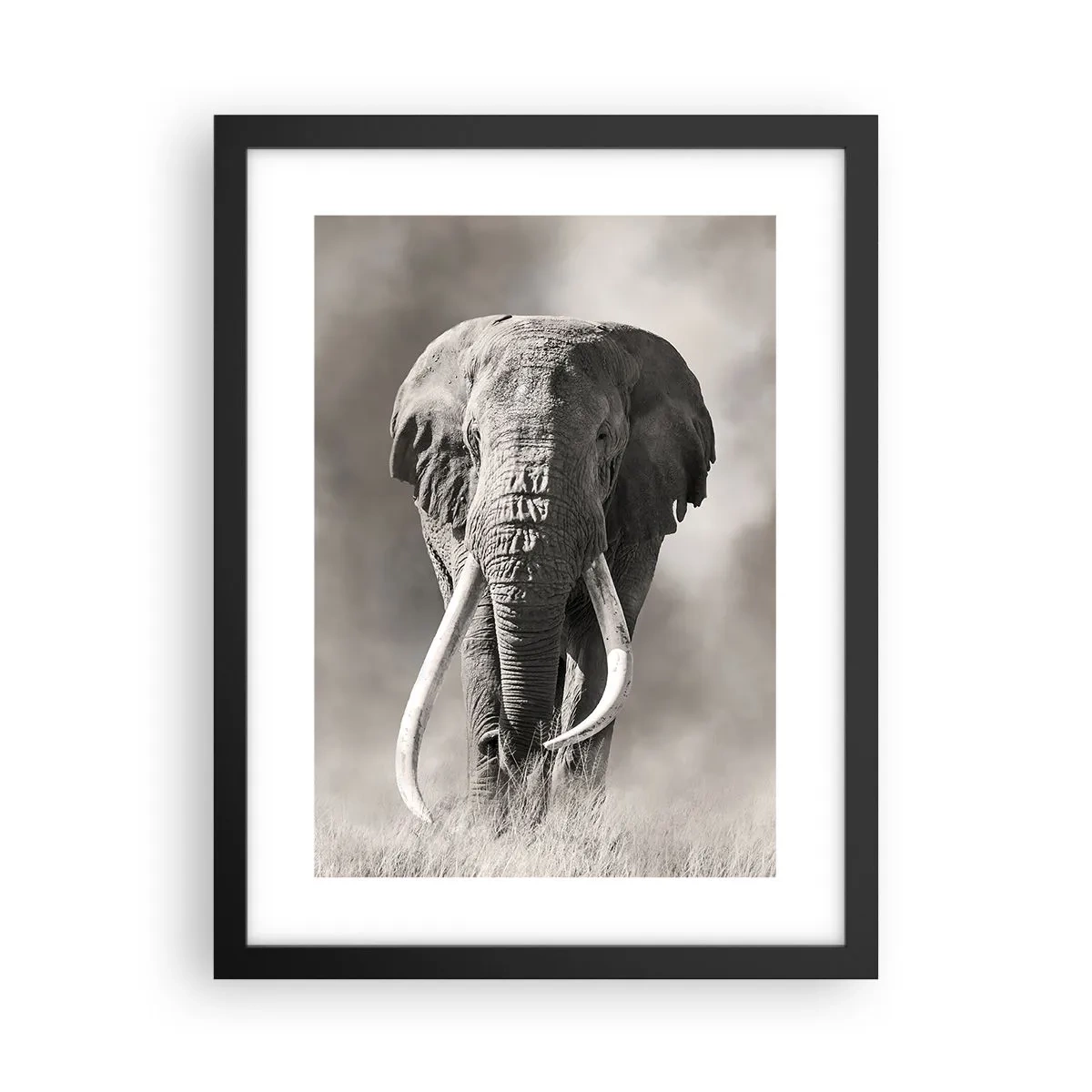 Poster în ramă neagră - Patriarh african - 30x40 cm