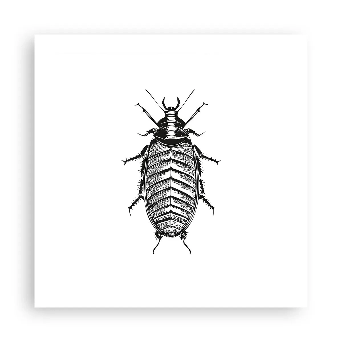 Poster - Ce specimen! - 50x50 cm