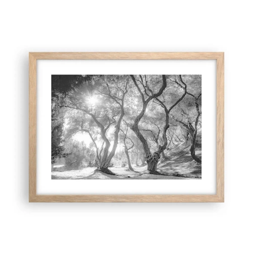 Poster în ramă de stejar deschis - Într-o livadă de măslini - 40x30 cm