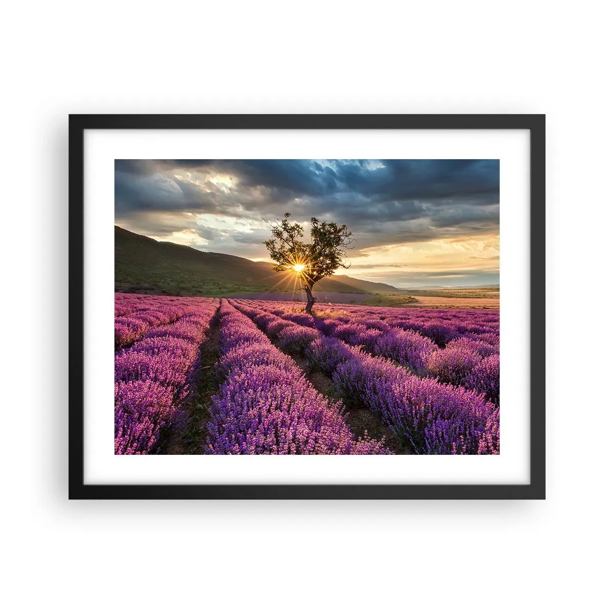 Poster în ramă neagră - Aroma în liliac - 50x40 cm