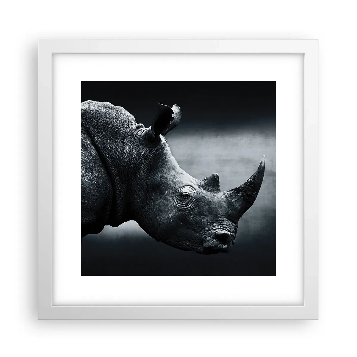 Poster în ramă albă - Profil drept - 30x30 cm