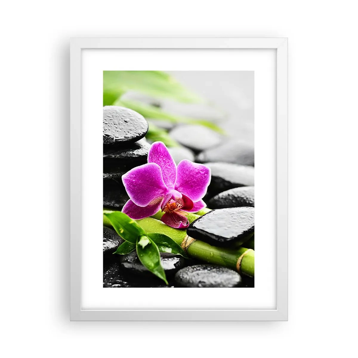 Poster în ramă albă - Într-un echilibru pașnic - 30x40 cm