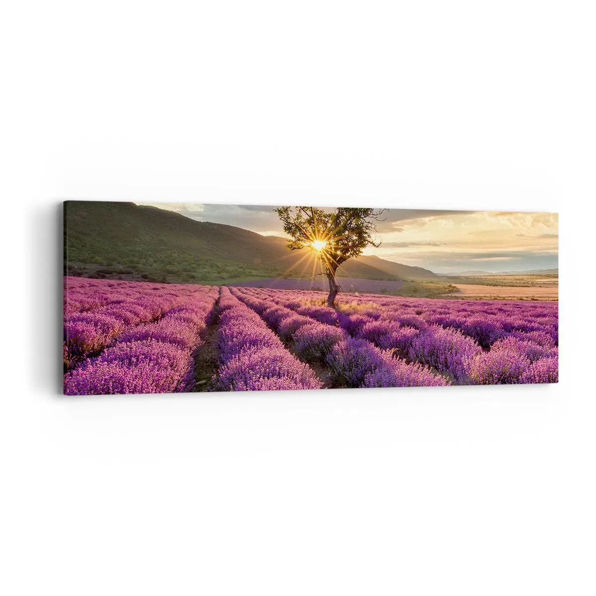 Tablou pe pânză - Aroma în liliac - 90x30 cm