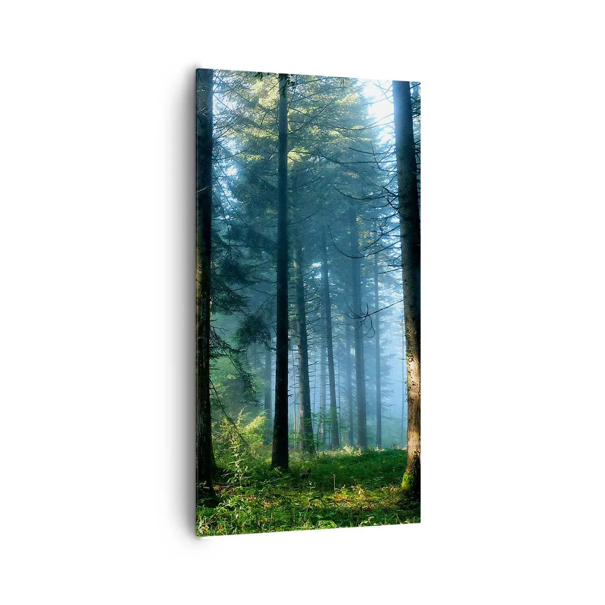 Tablou pe pânză - Strălucirea de dimineață - 65x120 cm