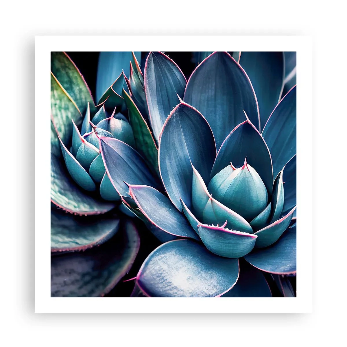 Poster - Forța vitală - 60x60 cm