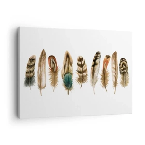 Tablou pe pânză Canvas - Motiv decorativ al unei colecții de pene diverse - 70x50cm - Variație cu pene - Decorațiune modernă pentru perete pentru living și dormitor ARTTOR