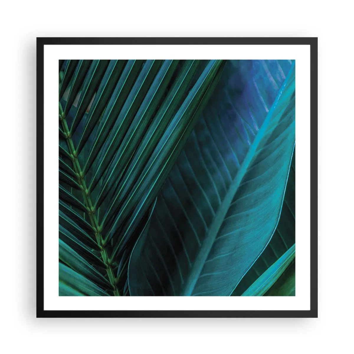 Poster în ramă neagră - Anatomia verdelui - 60x60 cm