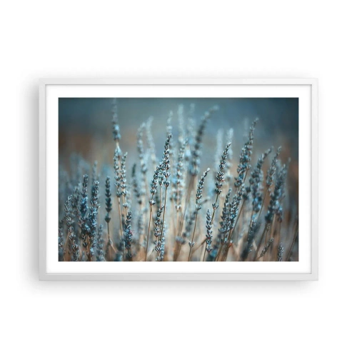 Poster în ramă albă - Câmpul parfumat - 70x50 cm