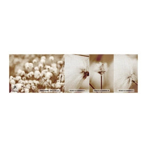 Mostră tapet Premium Canvas - Câmp pufos - Floare de bumbac, Floare, Crenguta de bumbac - 100x30 cm