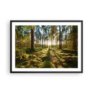 Poster în ramă neagră - Pădurea misterioasă - 70x50 cm