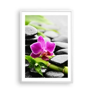 Poster în ramă albă - Într-un echilibru pașnic - 50x70 cm