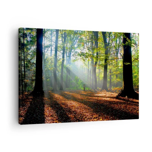 Tablou pe pânză Canvas - O poiană de pădure luminată de razele soarelui - 70x50cm - Străluciri și umbre - Decorațiune modernă pentru perete pentru living și dormitor ARTTOR