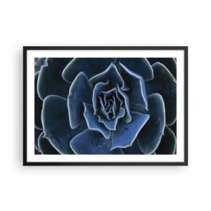Poster în ramă neagră - Floare de deșert - 70x50 cm