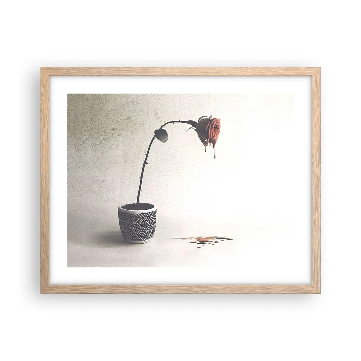 Poster în ramă de stejar deschis - Rosa dolorosa - 50x40 cm
