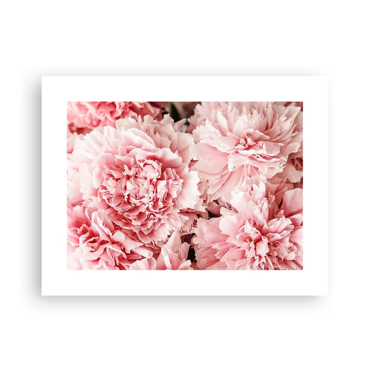Poster - Visul roz - 40x30 cm